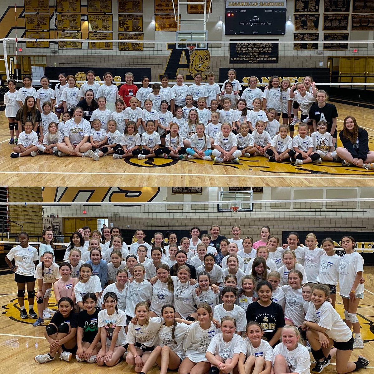 AHS Volleyball tweet media