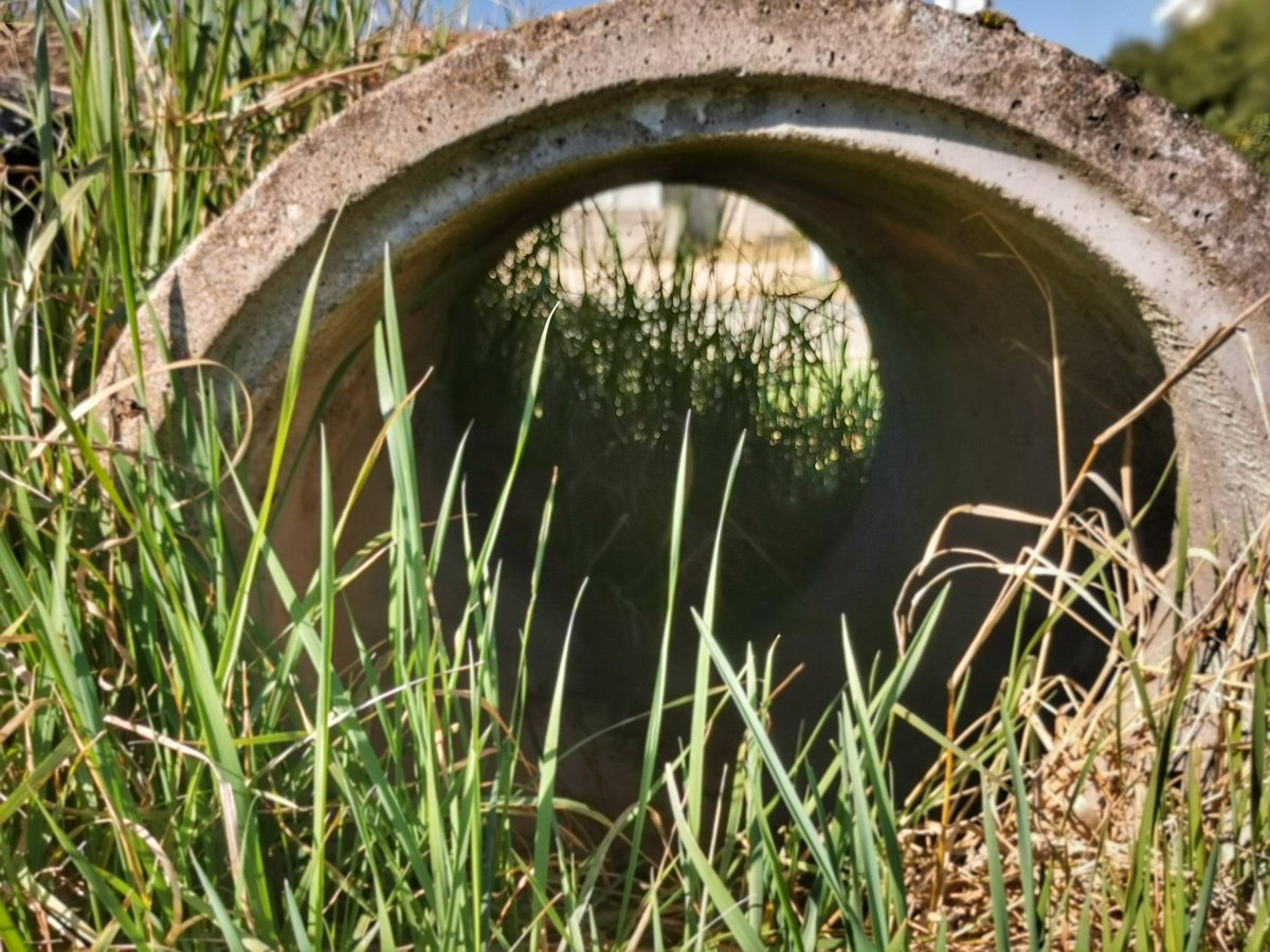 1Picture1Word's tweet photo. #tunnel
#1P1W #1picture1word
#activeemotion ๐๏ธ
#battlepicture ๐ ๐
Every picture tells a story! #Imagine #Photo #weare1forall
#France
The less you say, the more people remember ๐ธ
https://t.co/do7wSJhu8Y
#onepicture #oneword
#nature #naturelovers #naturepower https://t.co/DkIS1SPApX