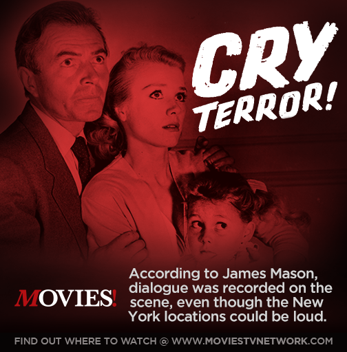 Movies TV Network on Twitter "FilmNoir at 8pm ET 5pm PT. https//t