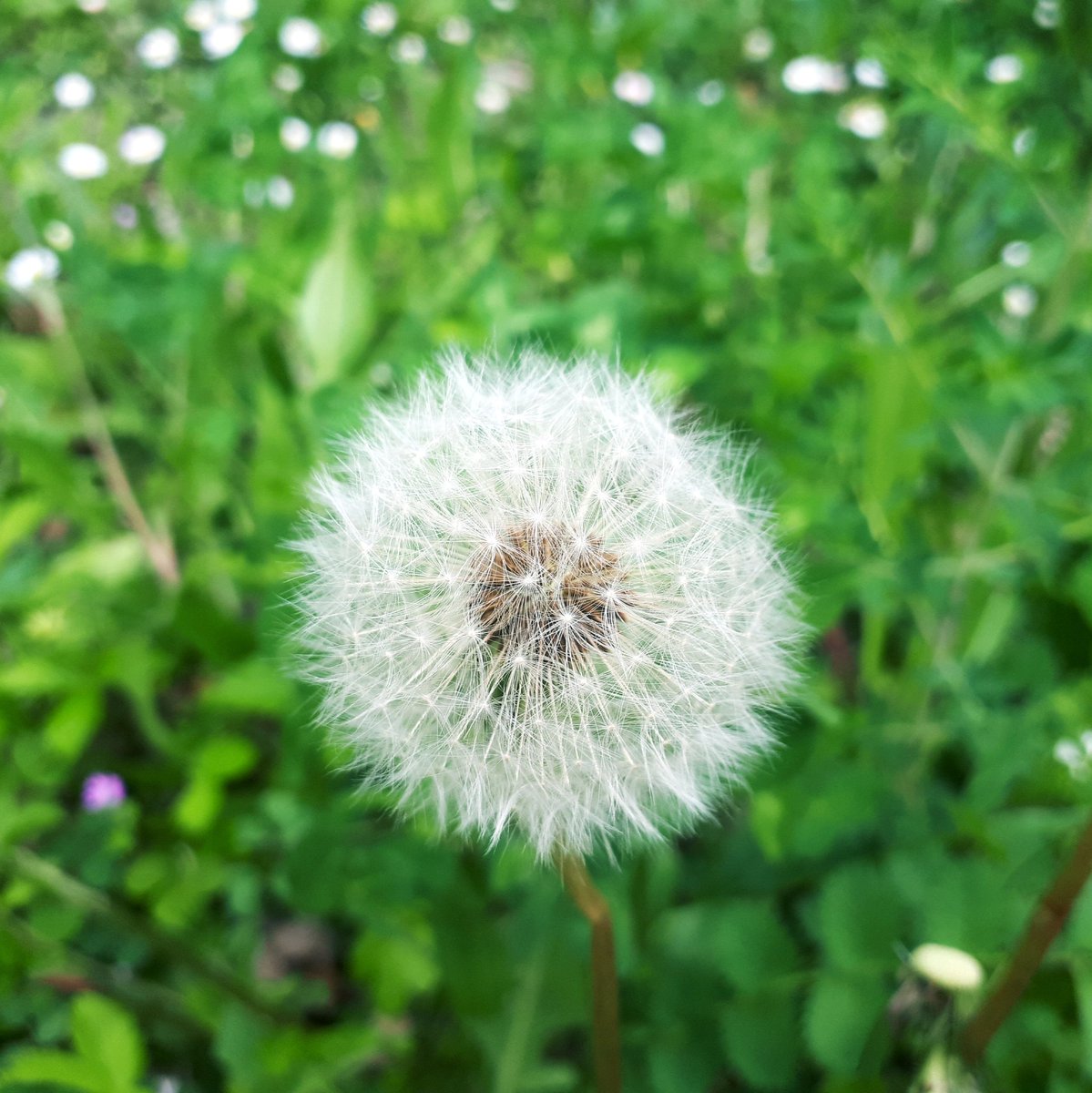 isabelarc's tweet image. #NuevaFotoDePerfil