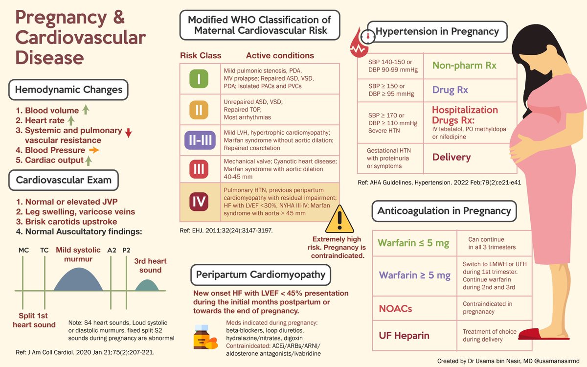 A quick visual summary, infographic of an important topic: pregnancy and cardiovascular disease. Via visualmed.org #ACCFIT #WIC #CardioTwitter