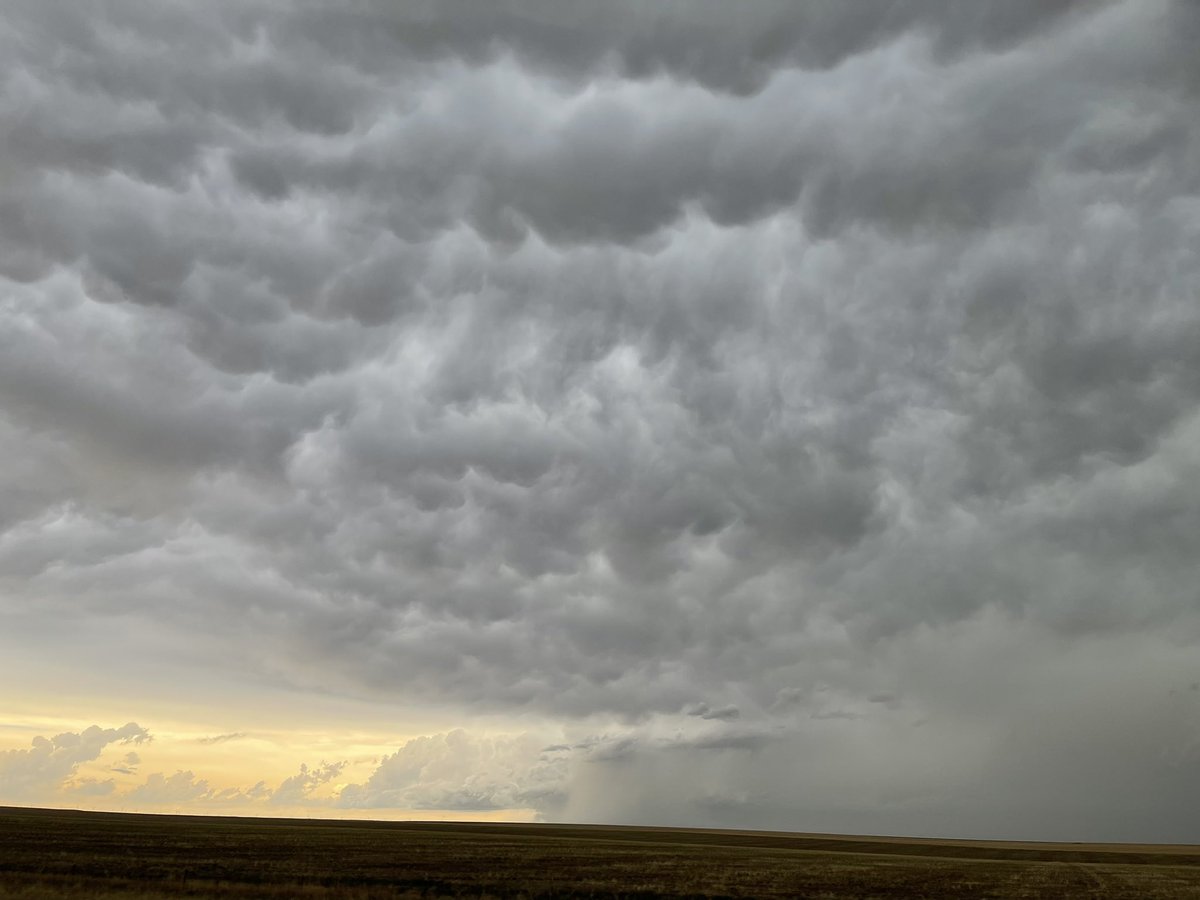 Sara Raffel tweet media