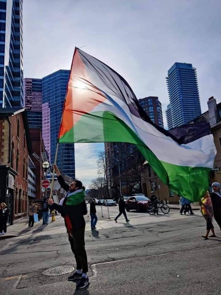 pbi_es's tweet photo. Visto en la ciudad de Toronto, EEUU 🇺🇸 que viva palestina libre. 🇵🇸

#COAC2022Final #32Finales #TheBürsinBirthday #EufòriaTV3 #Sheriff https://t.co/0aL0LduSMK
