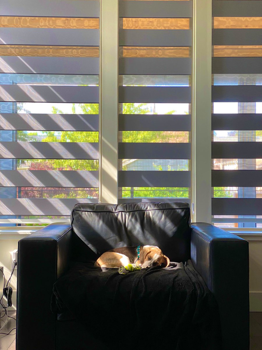 maradine tweet media