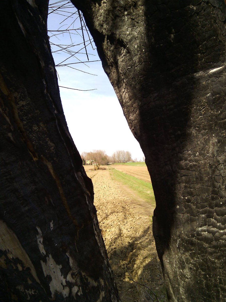 MarcinZenko's tweet image. Tunel