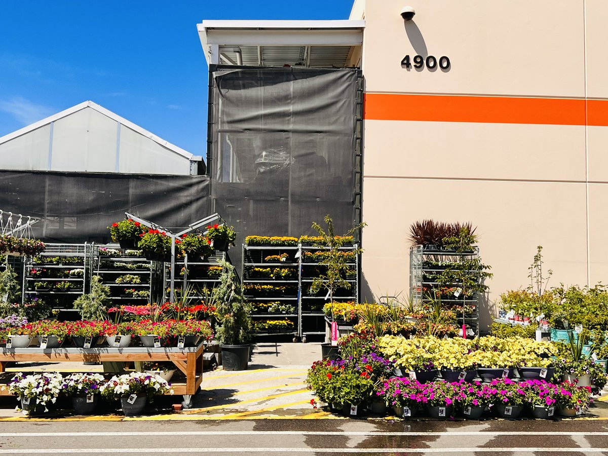 Gabriela A. Vincent (@mrsancavincent) on Twitter photo Thank you, <a href="/Jennifar72/">Jennifar McComish</a> for a great visiting yesterday! Your passion for our live goods business is inspiring. Thanks for all you do for our stores to ensure we get the best selection and best value for our customers! #thd6001casperproud @sanchez_1215 <a href="/oghoneybee/">Ivy Draper</a> @TJ77HD Thank you, <a href="/Jennifar72/">Jennifar McComish</a> for a great visiting yesterday! Your passion for our live goods business is inspiring. Thanks for all you do for our stores to ensure we get the best selection and best value for our customers! #thd6001casperproud @sanchez_1215 <a href="/oghoneybee/">Ivy Draper</a> @TJ77HD