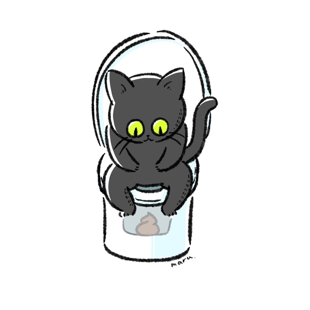 cat no humans black cat white background in container simple background animal  illustration images