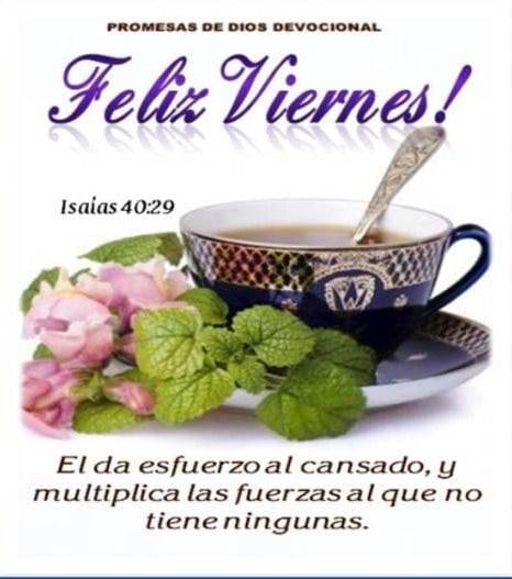 Feliz Viernes, mas que un final de Semana, es un dia para recibir las bendiciones de fe, la protección divina, y la fortaleza que necesitamos para iniciar este dia. ☀️☕️💜
Isaías 40:29
Él fortalece al cansado y acrecienta las fuerzas del débil.