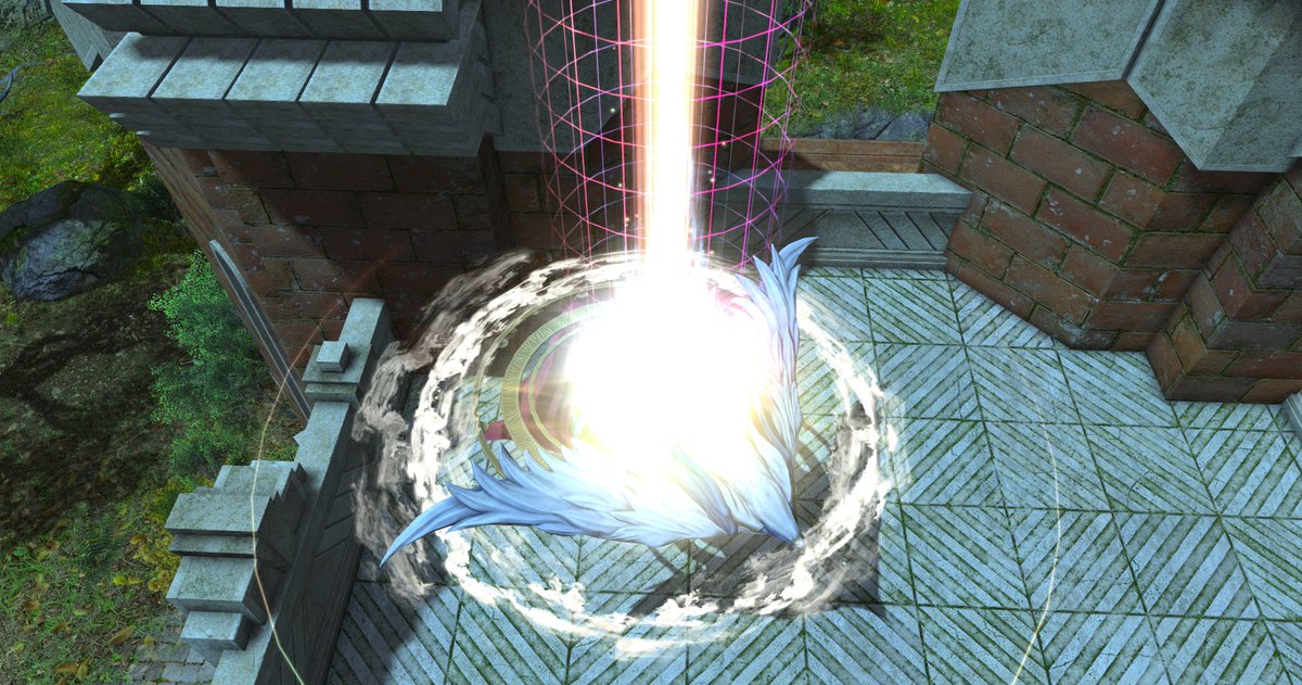 Birdingway 🐦 @ blusky tweet media