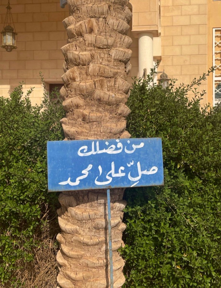 عبدالرحمن tweet media