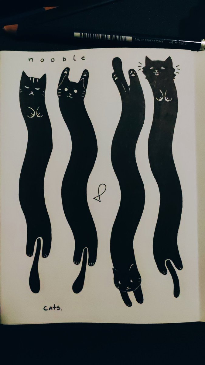 SintDrommer's tweet photo. Noodle cats! 🍜🐱 https://t.co/LdQTiDPfJM