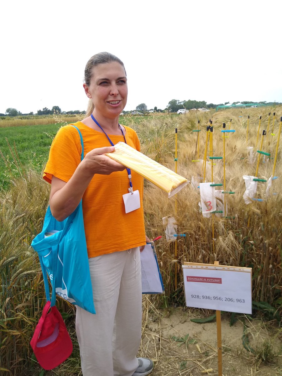 matteo_petitti's tweet photo. #ECOPB young #breeders network #SummerSchool #Day2 @CiRAA_Unipi and @ScuolaSantAnna with https://t.co/6DMeU5zMZS @FiBLBreeding and @retesemi 
#OrganicPlantBreeding
#OrganicVarieties 
#intercropping #legumes https://t.co/cQRNERKv76