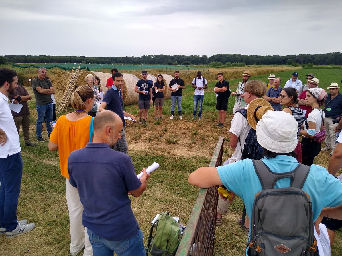 matteo_petitti's tweet photo. #ECOPB young #breeders network #SummerSchool #Day2 @CiRAA_Unipi and @ScuolaSantAnna with https://t.co/6DMeU5zMZS @FiBLBreeding and @retesemi 
#OrganicPlantBreeding
#OrganicVarieties 
#intercropping #legumes https://t.co/cQRNERKv76