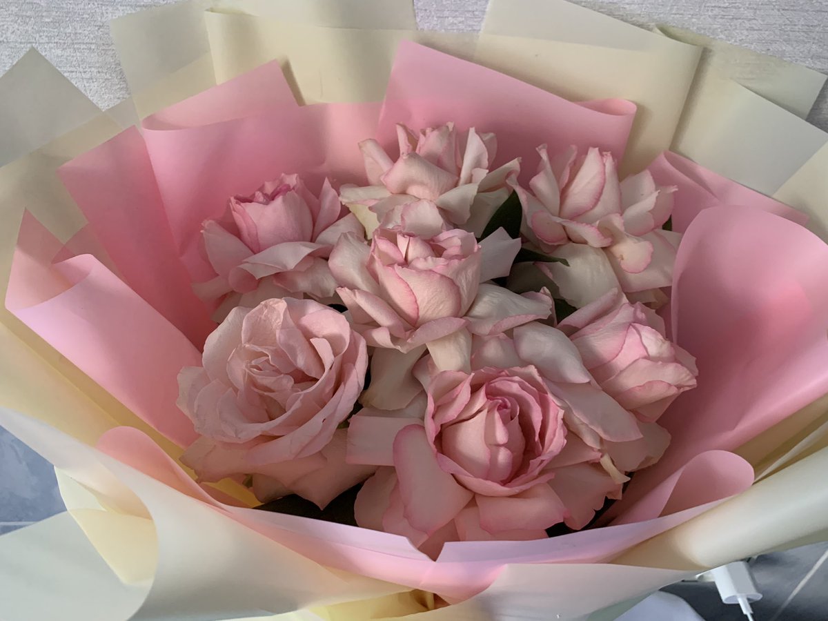 AllaLada's tweet photo. Вы помните, когда зарегистрировались в Твиттере? Я помню! #МояГодовщинаВТвиттере Иногда это всё, что тебе нужно - аромат роз! 💜и #твиттер https://t.co/4I0L6pWlP9