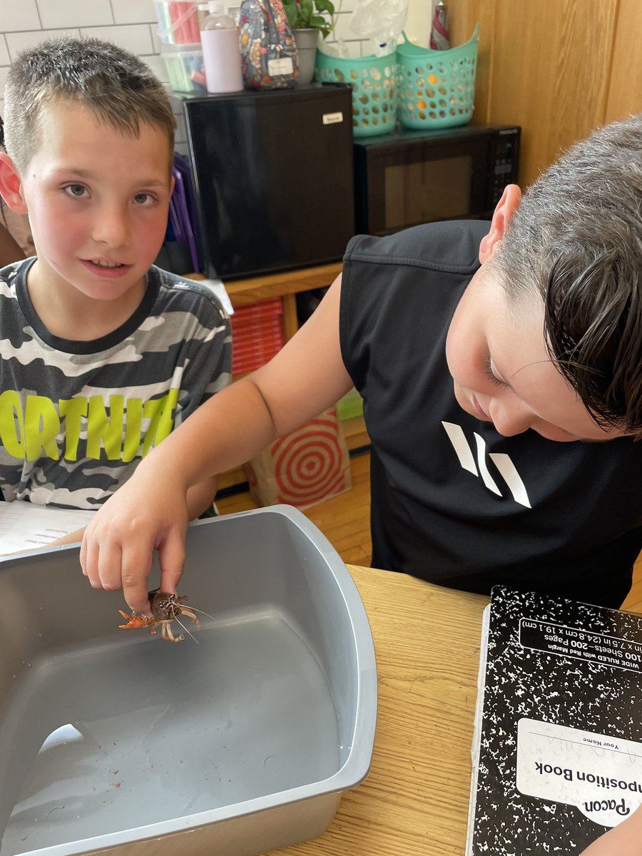 brijoy18's tweet photo. We have some new friends in our classroom! We are excited to learn about the structures and habits of another organism! #funinleaening #structuresoflife #handsonlearning @VanDuynChamps @SCSDScience https://t.co/4PGArd2lV8