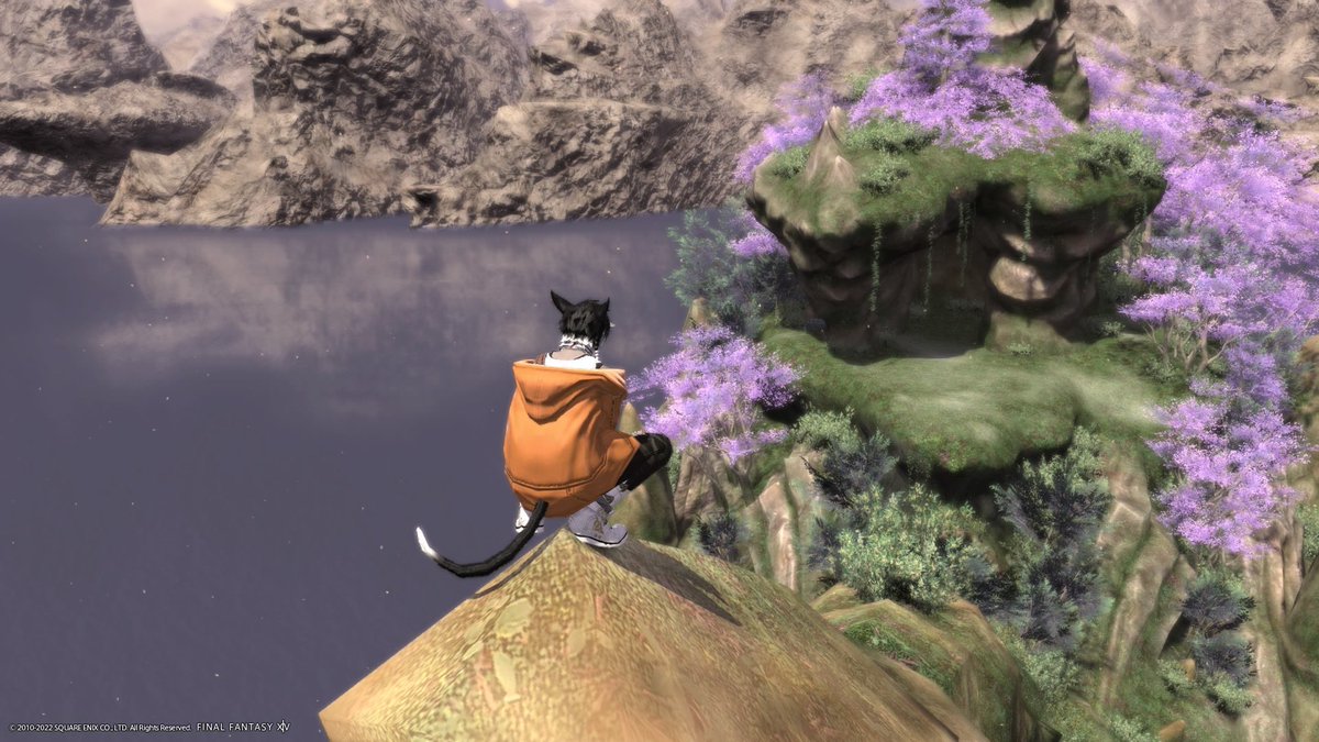 ff14_kenpet's tweet photo. 超絶久しいおはみこ🌞
ついに来ました、漆黒!
最高のシナリオとの噂、楽しみです。
あとFCメンターに連れられてケンの島(すなわち私の島)に連れてきてもらいました!リテイナー回さなきゃ!ということで帰ってしまい、置き去りになった図。
#OHMK #顔色悪ッテ #入島料500ギル https://t.co/N78XRN44Ip