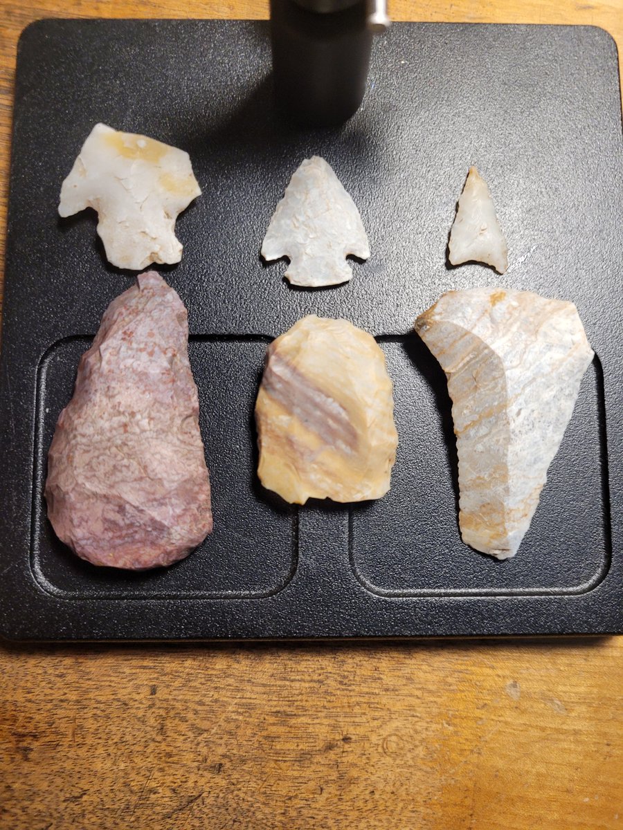 Found a few after the rains here in the Texas panhandle! <a href="/savagebowhunt/">savagebowhunting</a>