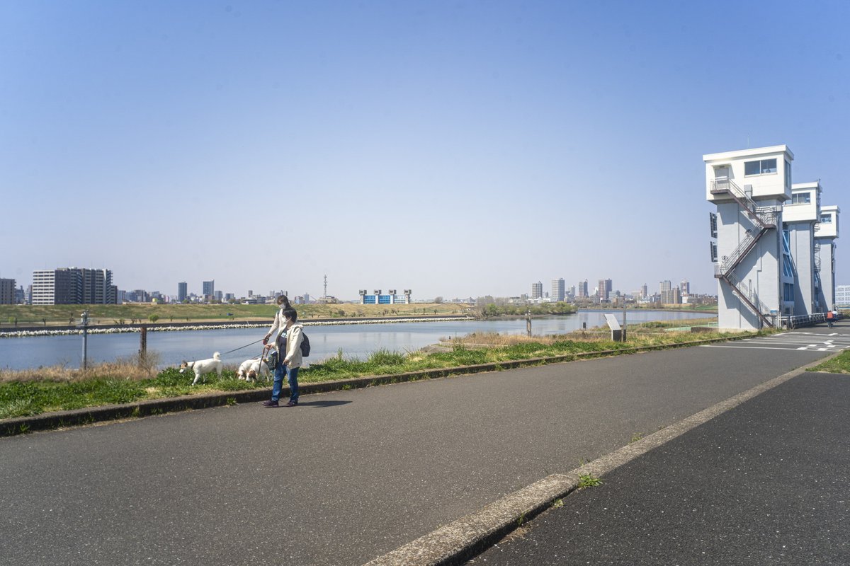 oldlens's tweet photo. 双子の子供が揃ったので、ＦＯＣＡファミリーで記念写真。それにしてもこの28mm f6.3の歪みの無さはすごい。

#オールドレンズ　
#oldlens 
#foca 
#oplar https://t.co/EsZqejfpGr