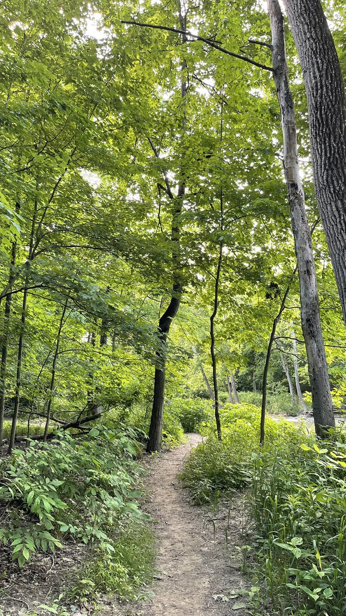 AjmaniK's tweet photo. After two odd years, I returned today to visit some old trails, waters, bridges —
and some new realities!
#SpiritChat #walking140 https://t.co/xrvnn1oy5v