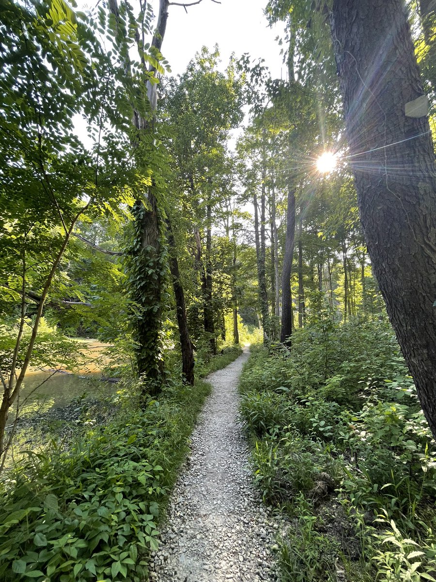AjmaniK's tweet photo. After two odd years, I returned today to visit some old trails, waters, bridges —
and some new realities!
#SpiritChat #walking140 https://t.co/xrvnn1oy5v