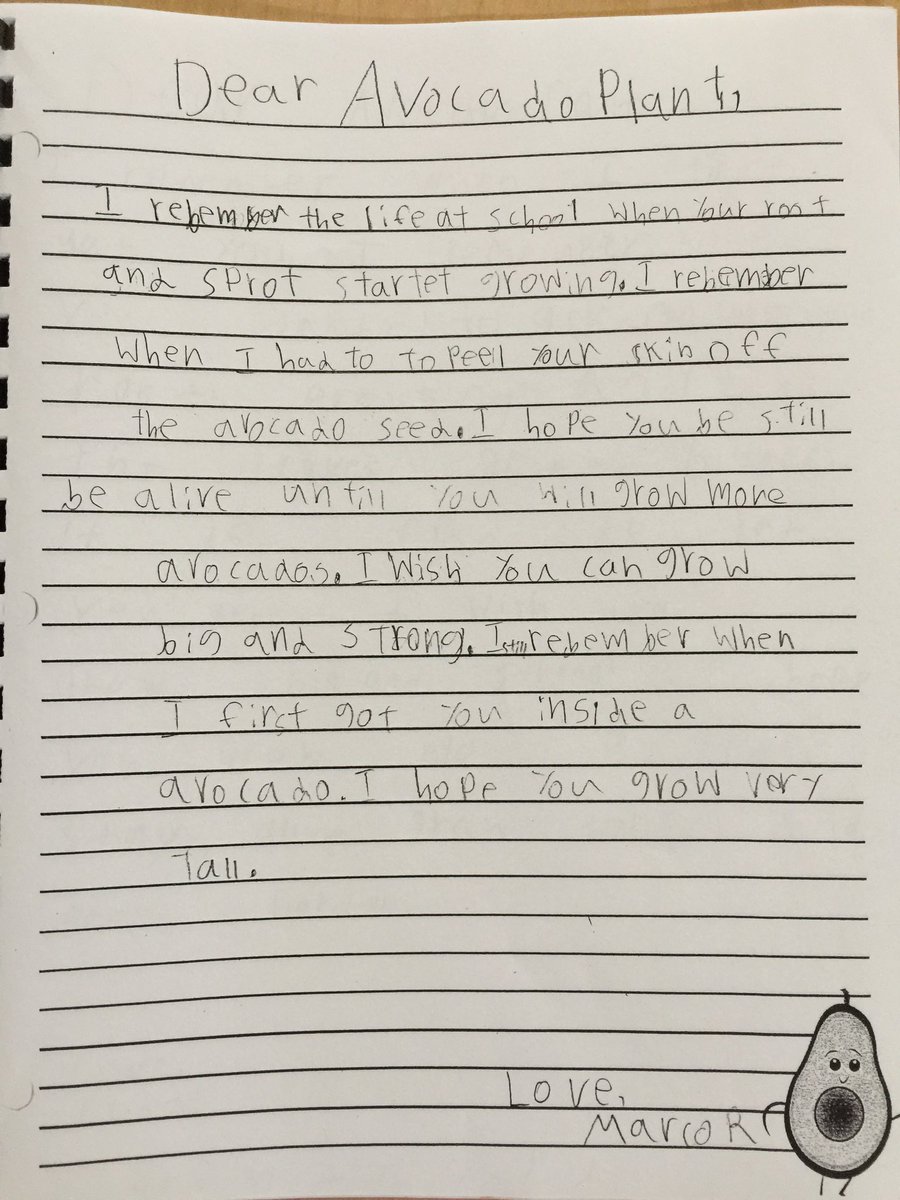 brentwoodSD41's tweet photo. Div. 10’s avocado plants have headed to their forever homes. The grade 2/3 students wrote love letters to their plants before they left. A beautiful example of cross-curricular learning combining ADST, Science, Writing and a love of learning! #sd41 @linabasso https://t.co/LMVcUFLR20