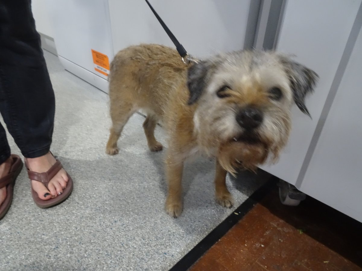 The Long Distance Walkers Association tweet media