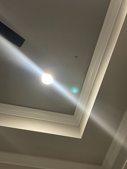 When there&rsquo;s a millipede on ur ceiling but that&rsquo;s ~14 feet high~ so now you have to live in fear that<a href="/tag/branditscanmiami"class="tags"><span>#branditscanmiami</span></a>