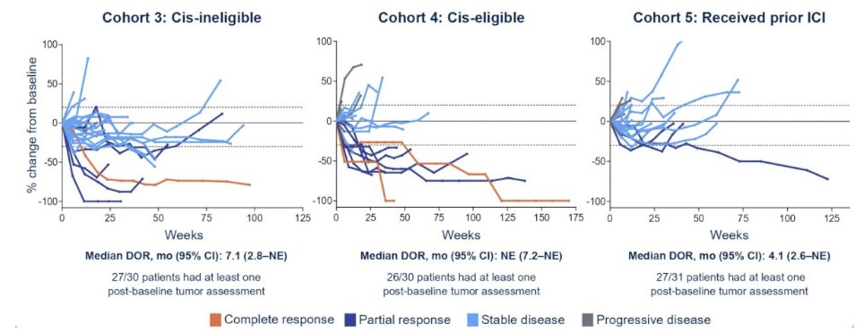 urotoday's tweet photo. Cabozantinib in combination with atezolizumab in #UrothelialCarcinoma: Results from cohorts 3, 4, 5 of the #COSMIC021 study. Presented by @montypal @cityofhope. #ASCO22 written coverage by @zklaassen_md @GACancerCenter > https://t.co/eWfSkbPLhU @ASCO https://t.co/MFN6pvGxcI