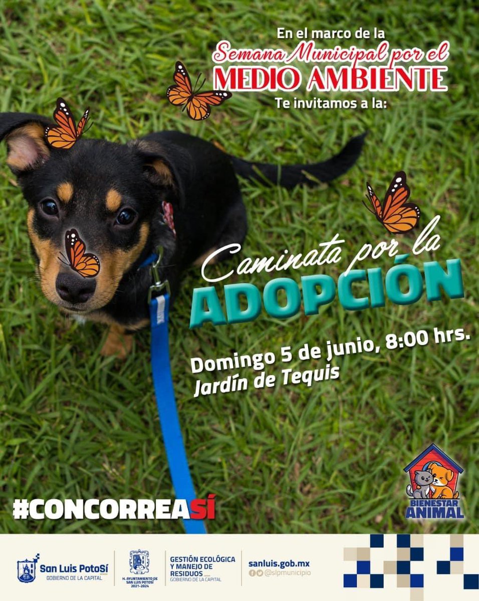 iram99's tweet photo. Caminata por la adopción #SemanaDelMedioAmbiente #Participemos #HagamosConciencia corramos la voz @SLPMunicipio @EF_Galindo @maxjasso @GestionEcoSLP https://t.co/KVm67T3HUj