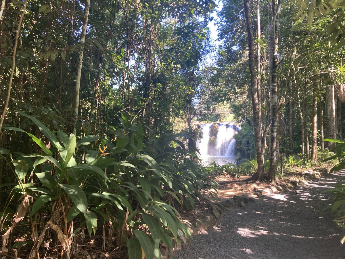 PaulMathiesen's tweet photo. Don’t go chasing waterfalls https://t.co/WjQ8tHpGXl