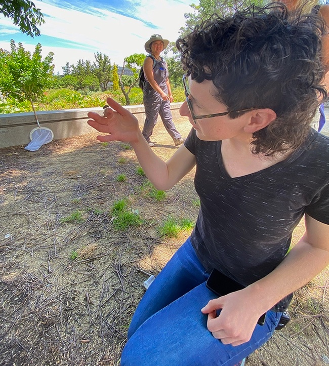 UCDavisEntomolo's tweet photo. What #bumble bee species did scientists and citizen scientists find on the California Bumble Bee Atlas tour in the #ucdavis Arboretum and Public Garden? See the mite on #Bombus melanopygus? Photos by Dylan Winkler and Cindy McReynolds. #BugSquad https://t.co/PFxrzi5zL3 https://t.co/AYmI8nYiTi