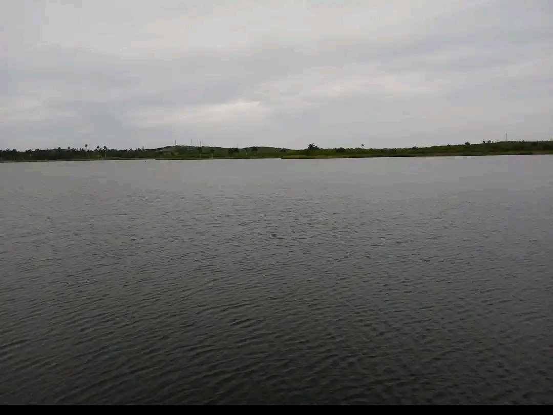 NileyanR2's tweet photo. Aún cuando el embalse San Miguel está al 100 % de llenado, por el momento no representa peligro para los pobladores de las comunidades santacruceñas de Jiquiabo, Río Blanco y San Francisco.
#SantaCruzDelNorte #Mayabeque https://t.co/wcueGPOD0C