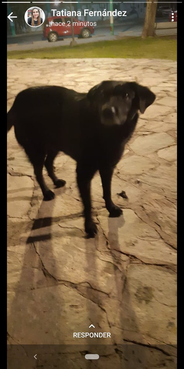 Desamparados, San Juan. Rt y difundir por favor 🙏🏻, gracias 🙌🏻