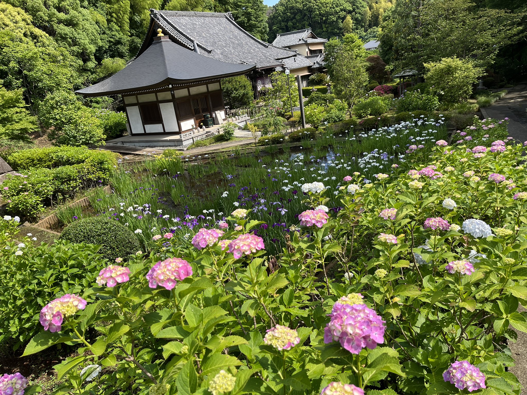 長窪山 正覚寺 Shogakujitendai Twitter