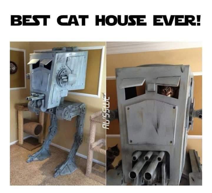 Amber Dermoudy tweet media