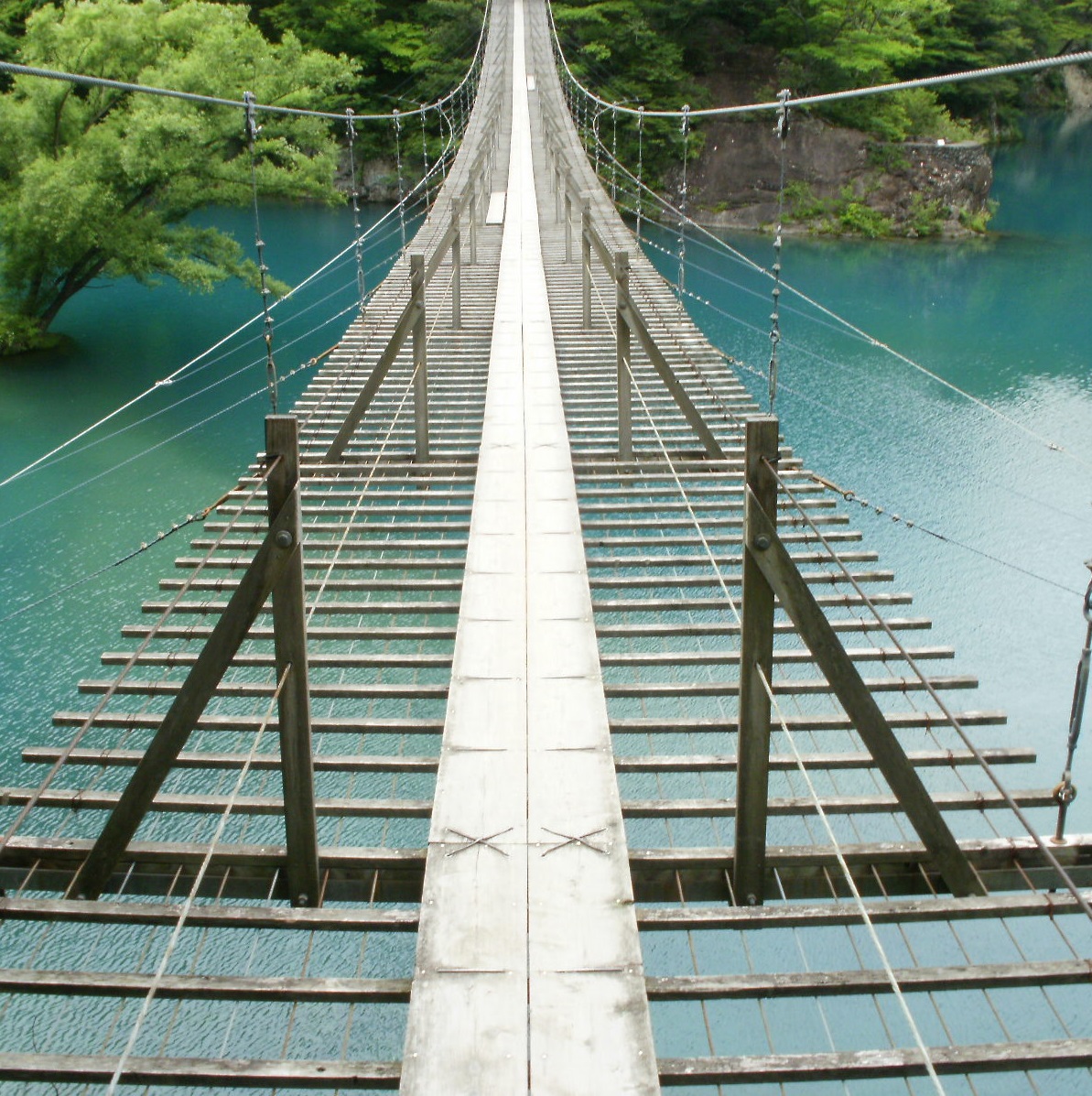 旅人yama 日本分割6周目 静岡県の奥地 寸又峡にある 夢の吊橋 です 大間ダム湖 無加工でこの色なのだからすごい 吸い込まれるようなブルーです そして吊橋はこの狭さでグラグラと揺れる これは吊橋効果 あなたも吊橋効果を狙うのです きっと