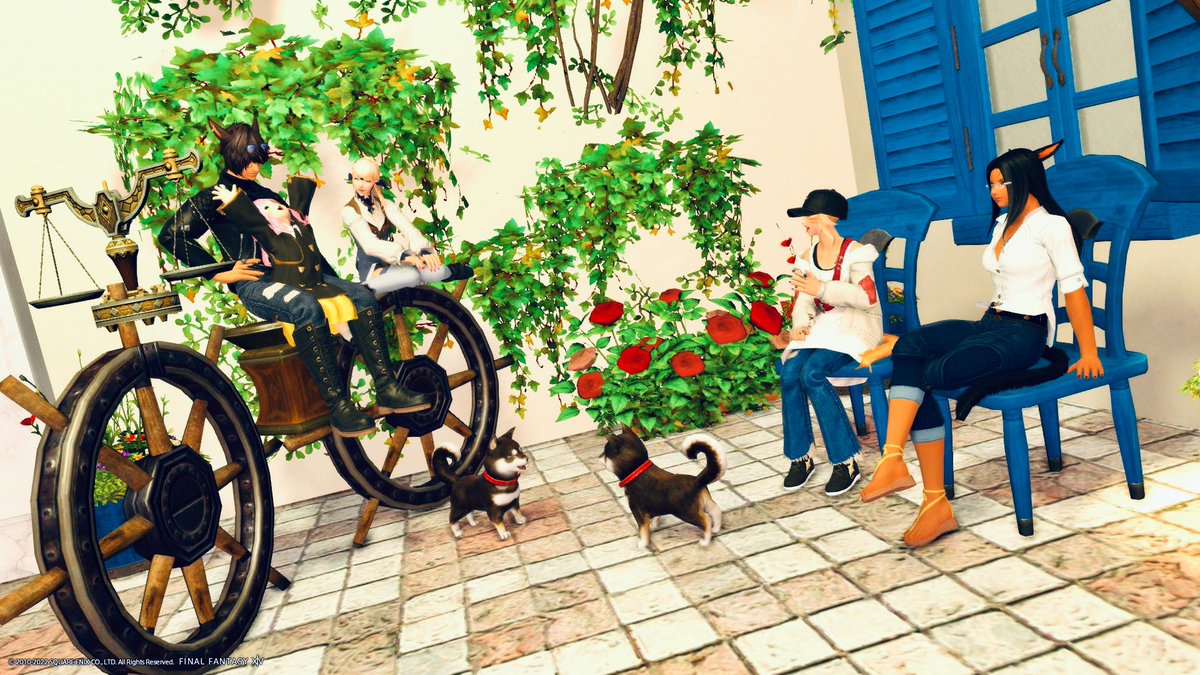 kuu_katze2's tweet photo. フレンドさんのFCメンバーの方々。
ハーレム体験させていただ��ました😇
#ChienSS
#うちのこ展_Gaia https://t.co/mItwi927RZ
