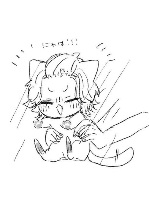 マねこ