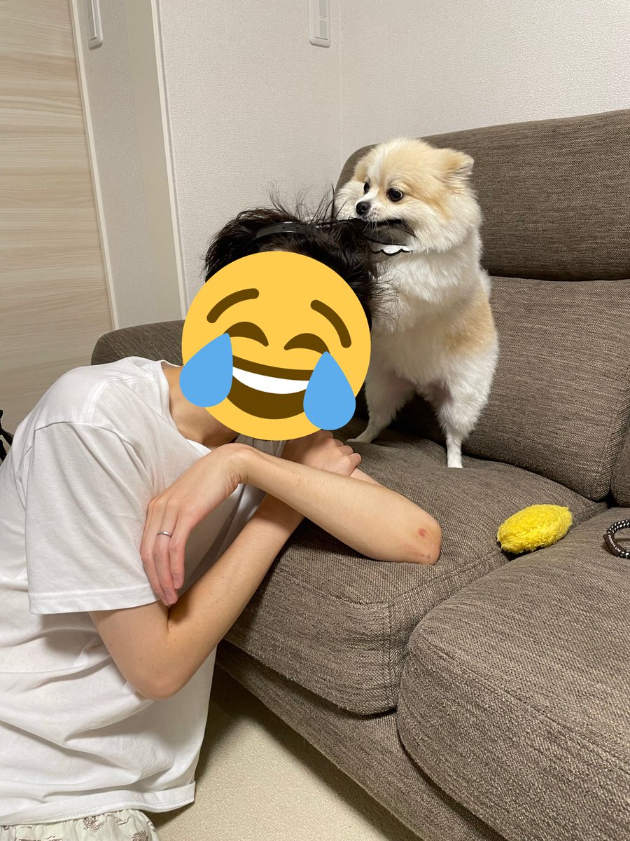 22年06月04日の注目ツイート 19ページ目 メガとんトラック