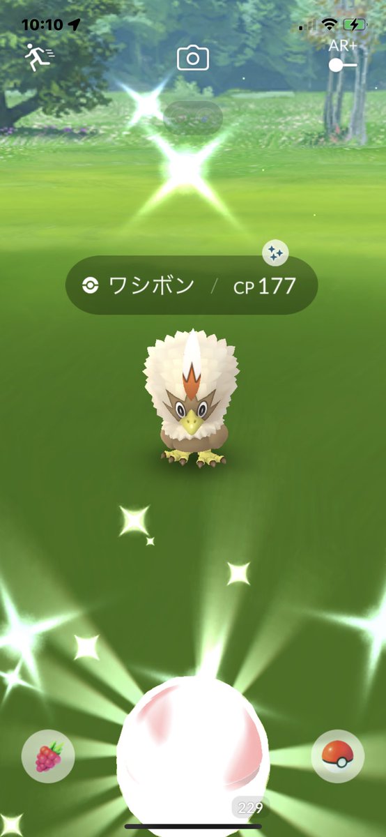 Lfjac9P's tweet photo. 最初から続いて3体色違いなんて
満足すぎる😭😭
ぱにさんキバゴレイド色違いでした😭😍
招待ありがとうございました😍😍😍
感謝です〜😘 https://t.co/x0Q8RmU6pE