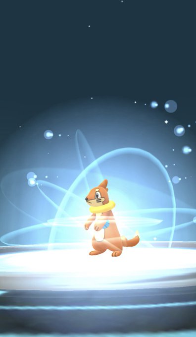 フローゼルのtwitterイラスト検索結果