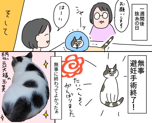 実家のねこたん玉美の避妊手術の様子
https://t.co/RvhXYGTJf3 