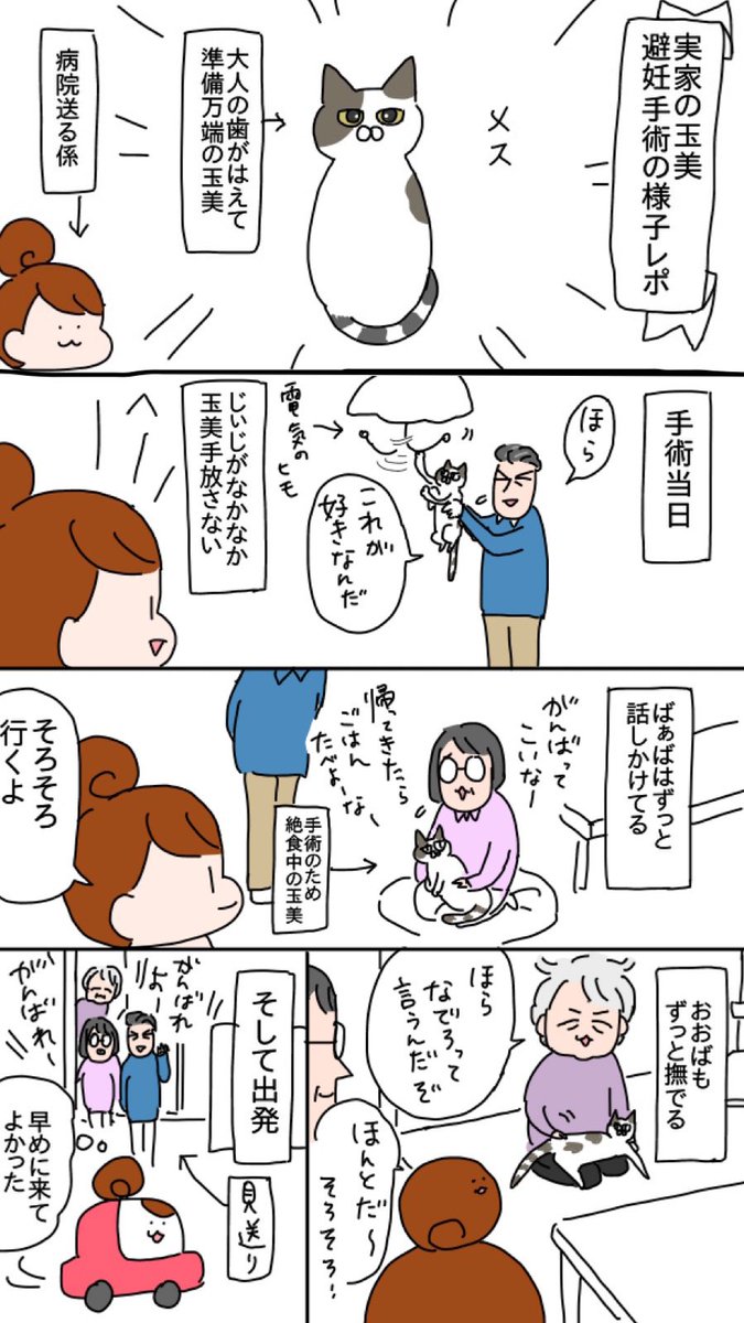 実家のねこたん玉美の避妊手術の様子
https://t.co/RvhXYGTJf3 