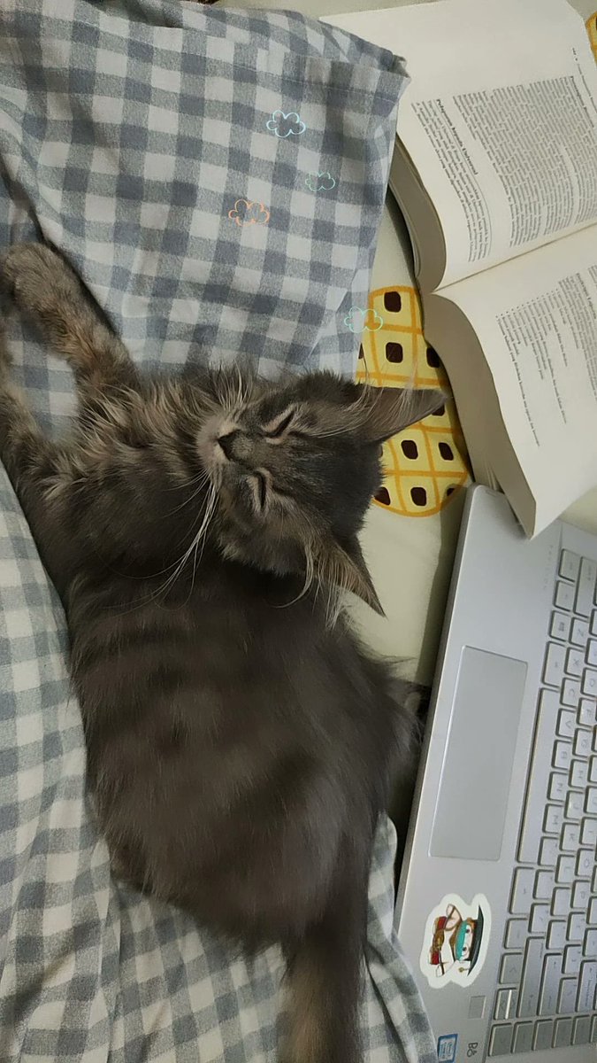 cannot be blank tweet media