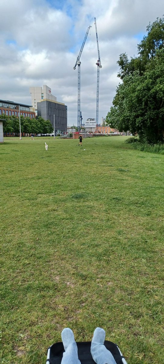 Next year this green will have been developed...Why? Greenspace should matter too. <a href="/ManCityCouncil/">Manchester City Council</a> <a href="/AlanGoodLD/">Alan Good</a> <a href="/LucyMPowell/">Lucy Powell MP</a>