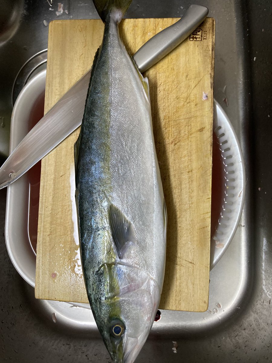 rickey1820's tweet photo. 最近ハマったこと。

魚捌くの楽しい🐟🐟 https://t.co/1kdG44vUrc