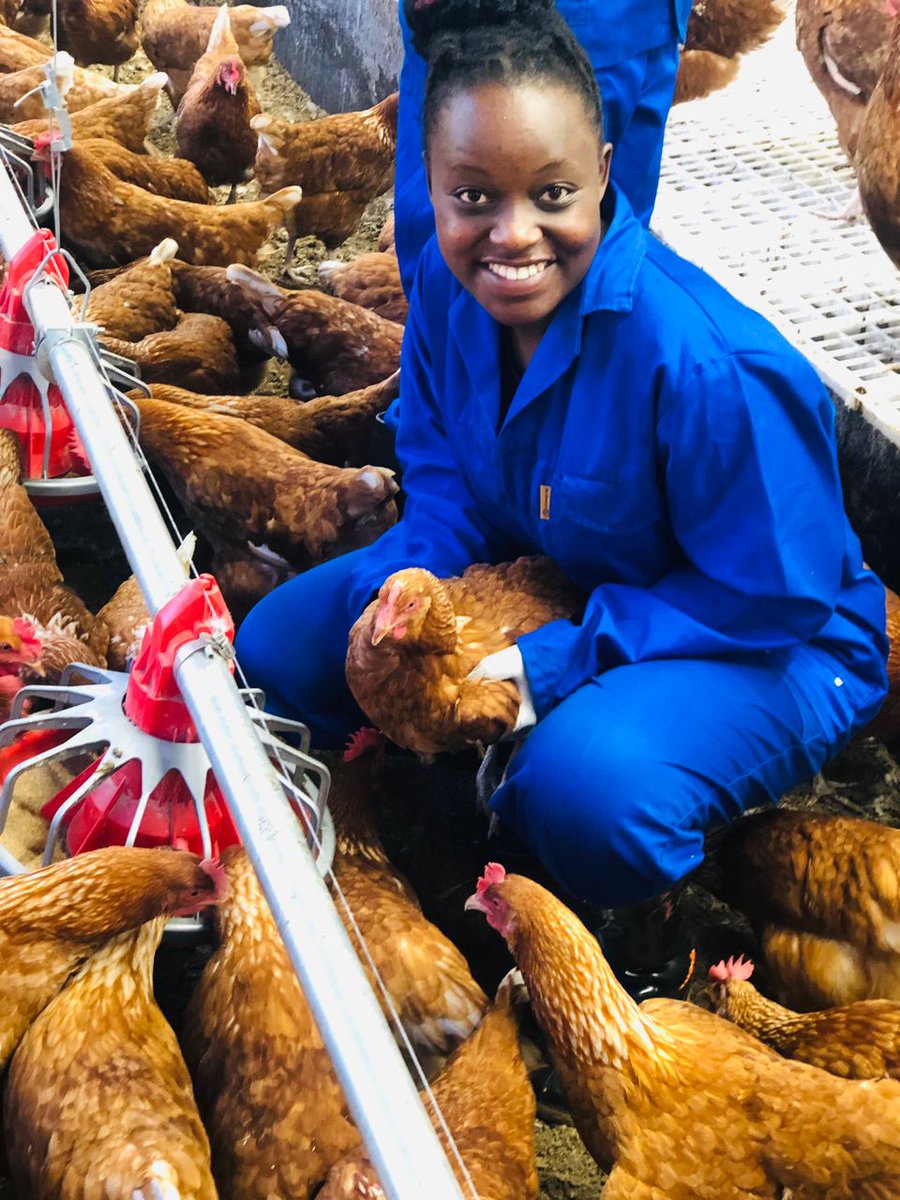 Sangwa Sifa Florence tweet media