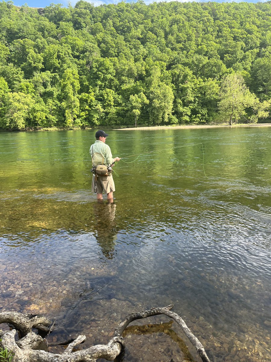 jespringr's tweet photo. My third love is standing in a trout stream. #flyfishing #taneycomo #whiteriver https://t.co/YXCFdwarGK