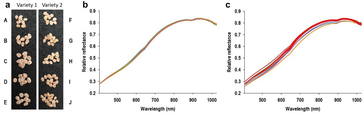 PlantMethods's tweet photo. Experimental data manipulations to assess performance of hyperspectral classification models of crop seeds and other objects
Full text: https://t.co/fJZGsgbO5y
#PlantScience #MachineVision #ProximalSensing https://t.co/HZNNqEVlhq