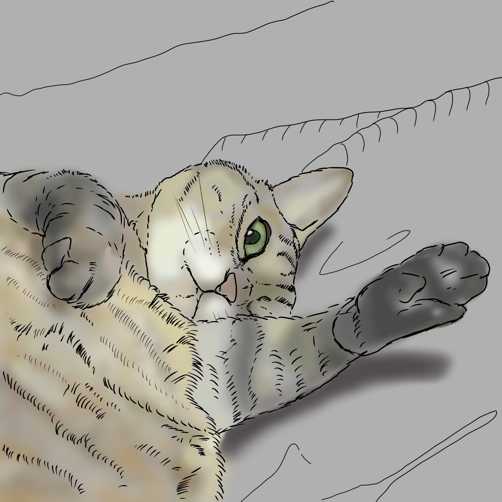 猫の目の色 Twitter Search Twitter